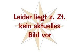 20 Reichspfennig    revers.jpg