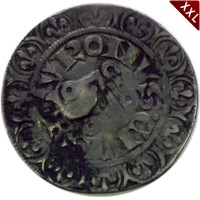  Tournose   revers.jpg